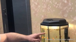 Оборудуем новый аквариум на 100 л.