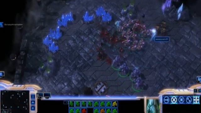 Hippo vs Sasquatch Starcraft 2 1v1 PvZ *LIVE* смотреть онлайн