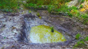 Расширил и углубил свой пруд в деревне