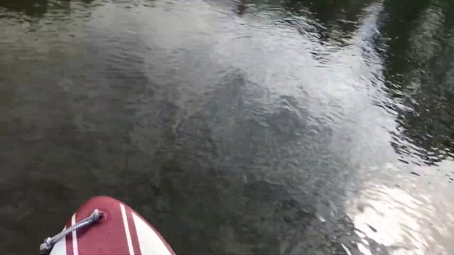 Sup board, Hydro Force, Jobe, р Лосиха август 2018г смотреть онлайн