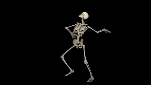 dance perls смотреть онлайн