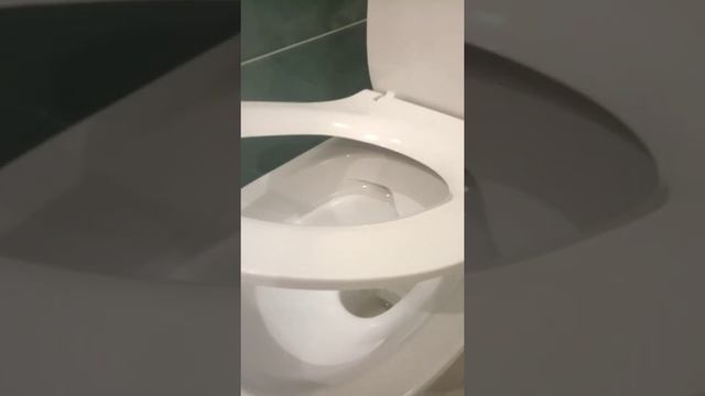 Унитаз церсанит монолит и душевая стойка Zimmer