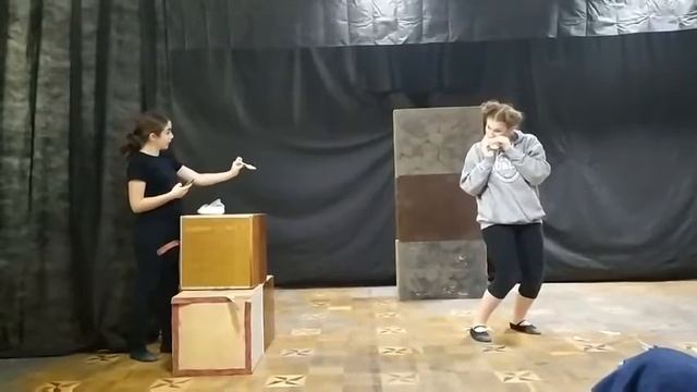 Квокка, наблюдения за животными. Чёрная Арина смотреть онлайн