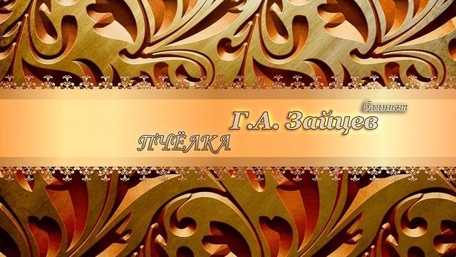 Баян. Г. А. Зайцев - Пчелка ?? смотреть онлайн