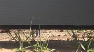 Приключения Американцев в России ... ВЕСЬ третий сезон!