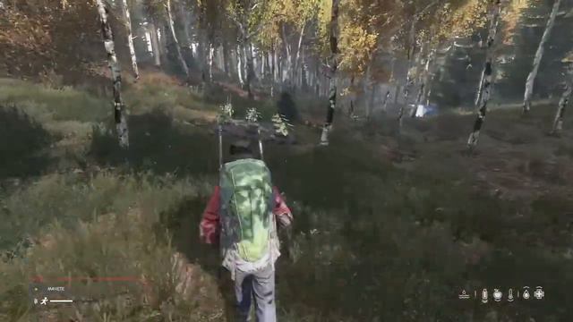 Делаю базу в лесу Dayz Xbox выживание в одиночку #dayz #xboxone #games #выживание смотреть онлайн