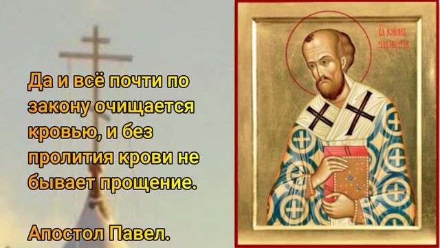 Да и всё почти по закону очищается кровью, и без пролития крови не бывает прощение.  Апостол Павел.