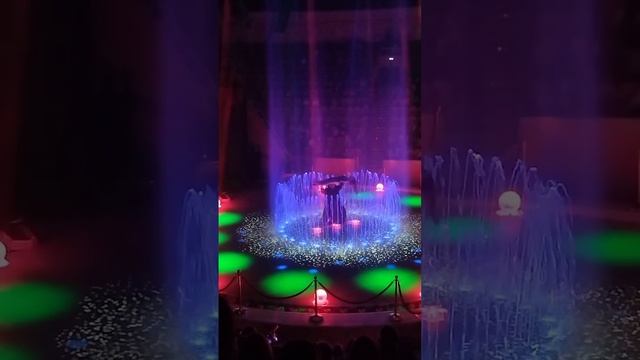 Шоу огня, воды и света в Омском цирке смотреть онлайн