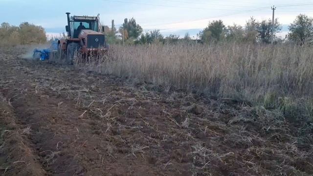 Мелиоративная дисковая борона БДТ-5 " Вепрь " , на службе нашего хозяйства смотреть онлайн