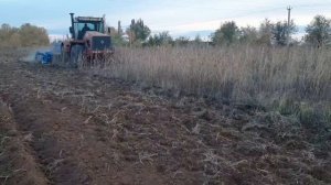Мелиоративная дисковая борона БДТ-5 " Вепрь " , на службе нашего хозяйства