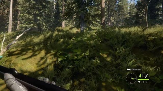 BLOODHOUND DLC - FIRST LOOK - TheHunter Call of the Wild смотреть онлайн