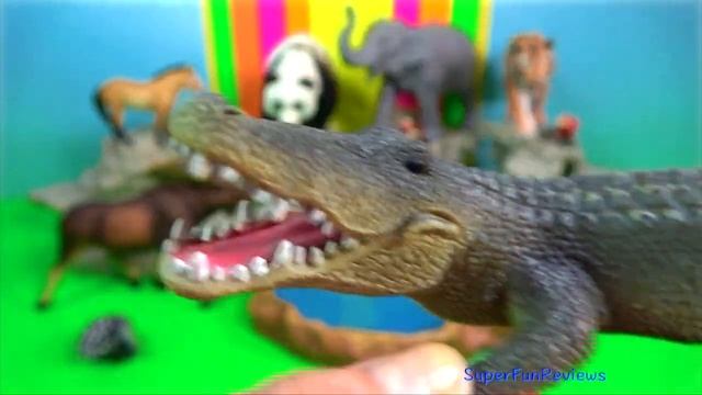 Big Cat Week - Zoo Animals Tiger Elephant Panda Elk Alligator 13+ 老虎 смотреть онлайн