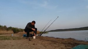 Ловля карася на снасть «убийца карася».