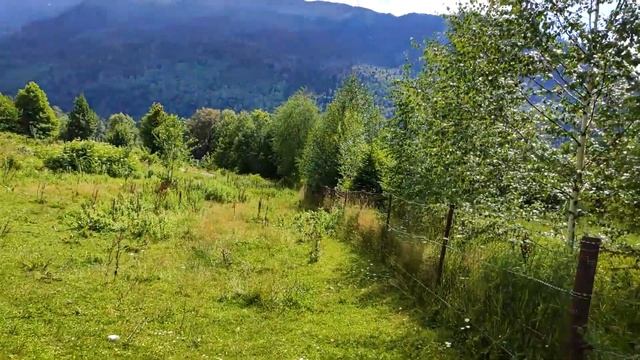 Маруха - Пхия - Рожкао, поездка на BMW R1200GSA и Yamaha TDM 900