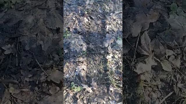 170 метрів Молдова Контрабас Сокиряни смотреть онлайн