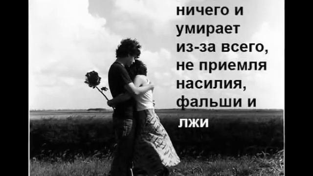 два полюса wmv смотреть онлайн