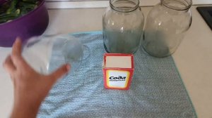 Маринованные огурцы на зиму Быстрый рецепт консервированных огурцов без стерилизации