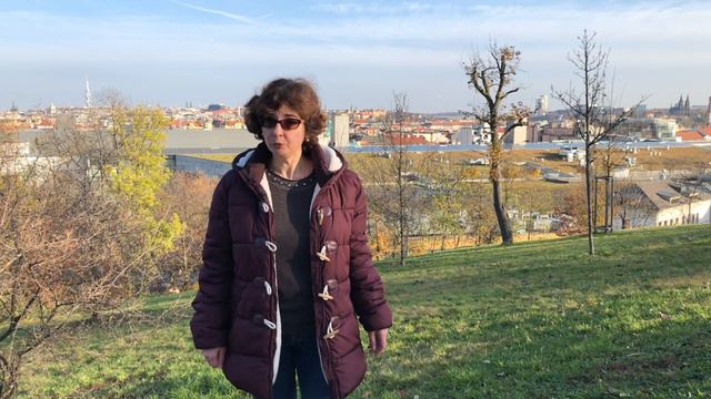 ЕЩЕ РАЗ О БЕЗВИЗОВОМ РЕЖИМЕ В ЧЕХИИ.... и не только! смотреть онлайн