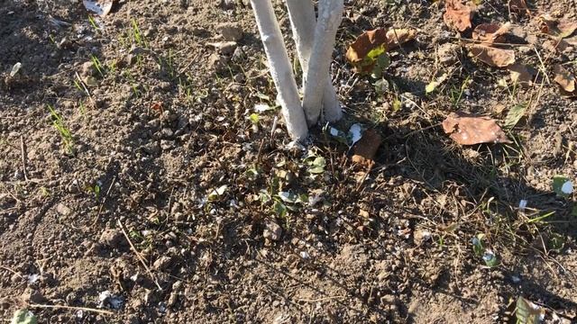 Фильмы и Сериалы