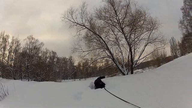 собака в снегу смотреть онлайн
