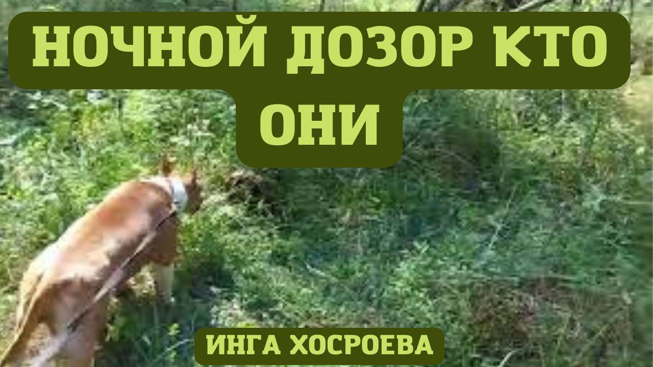 НОЧНОЙ ДОЗОР. КТО ОНИ ВЕДЬМИНА ИЗБА ▶️ ИНГА ХОСРОЕВА (4).mp4 смотреть онлайн