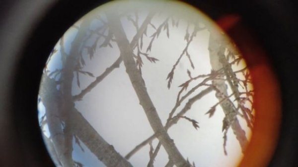 Что можно увидеть в Sky-Watcher Dob 8 с окулярами 25, 10 и 6 мм, и сфотографировать на Nikon D300