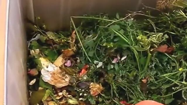 Supercomp - movie composter in larchwood смотреть онлайн