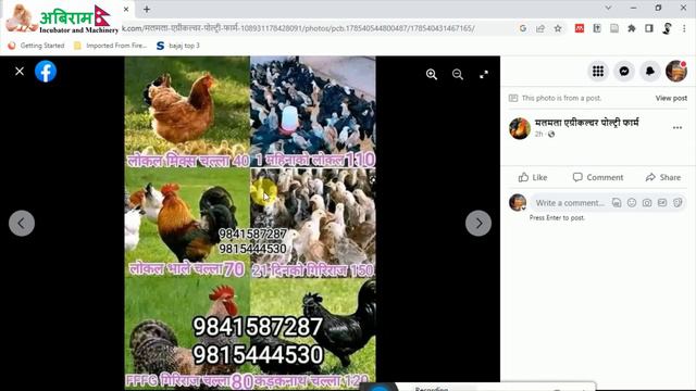 Price of chicks 🐥 in Nepal II नेपालमा चल्लाको मुल्य II Abiram Agro-Tech +977 9849760686 смотреть онлайн