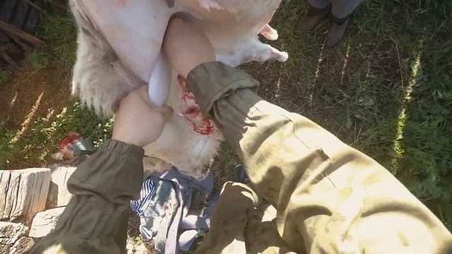 Будни в татарской деревне. Как я резал барашка. (18+) смотреть онлайн