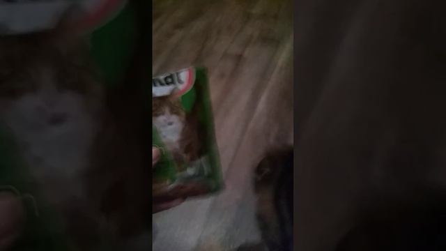 мы добытчики еды потому что наш хозяин не кормит!!!!!! смотреть онлайн