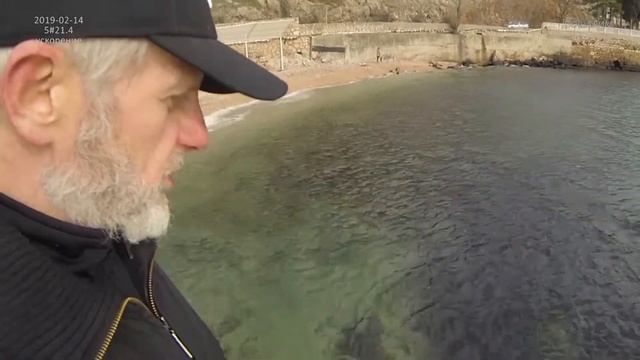 2019-02-14 Разминка и беседа с моржом смотреть онлайн