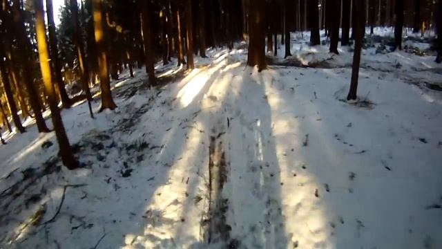 GoPro CUBE Analog Waldtrail смотреть онлайн