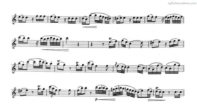 W. A. Mozart – Andante ♪=70 Piano Accompaniment with metronome смотреть онлайн