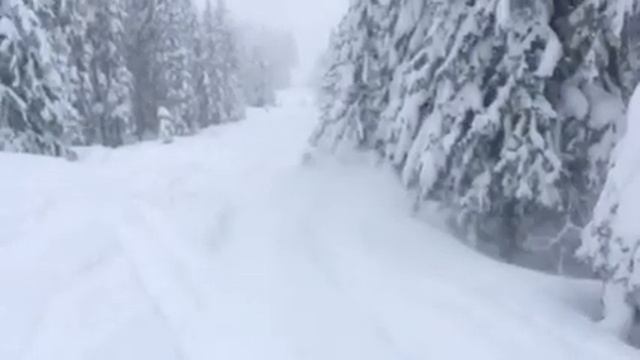 Zauchensee freeride, Jan.2019 смотреть онлайн