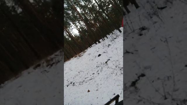 Polaris 570 смотреть онлайн