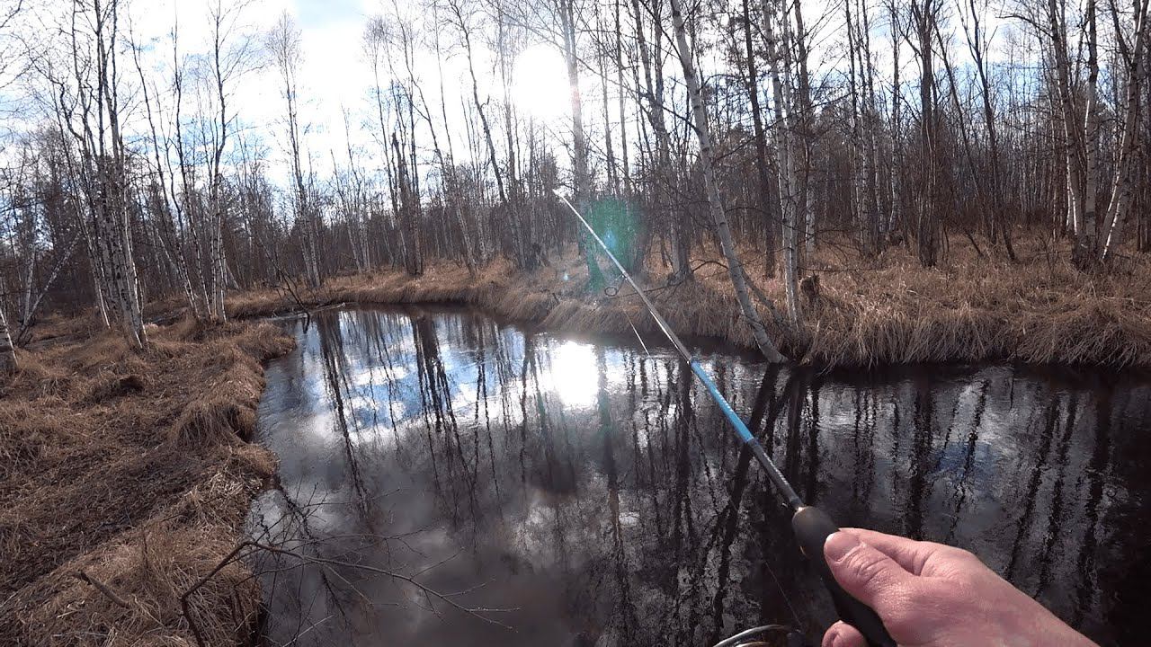 ХОТЕЛИ ПОЛОВИТЬ ЯЗЯ,НО ПОЛУЧИЛОСЬ ПО ДРУГОМУ, ОТКРЫТИЕ СЕЗОНА 2021 НА ЯМАЛЕ. смотреть онлайн