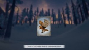 The Long Dark - С чего начать первое выживание? 3 ВАЖНЕЙШИХ СОВЕТА