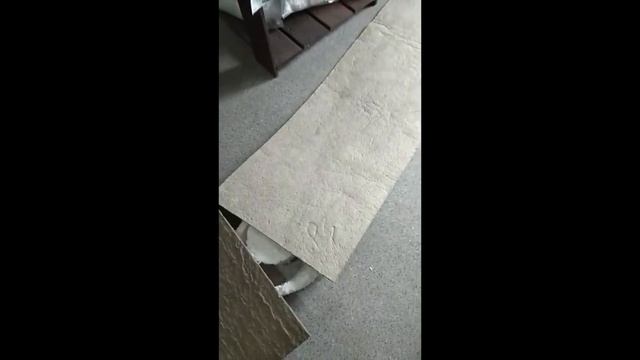 Испытание теплоизоляционных материалов при температуре 900 гр. смотреть онлайн