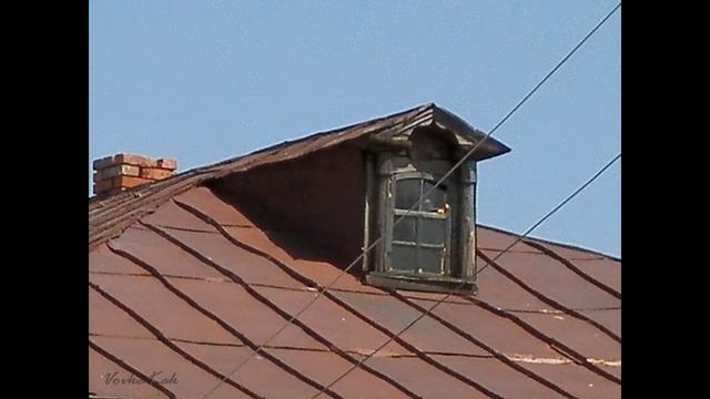Последние свидетельства смотреть онлайн
