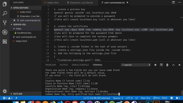 Add HTTPS support to VSCode Live Server смотреть онлайн