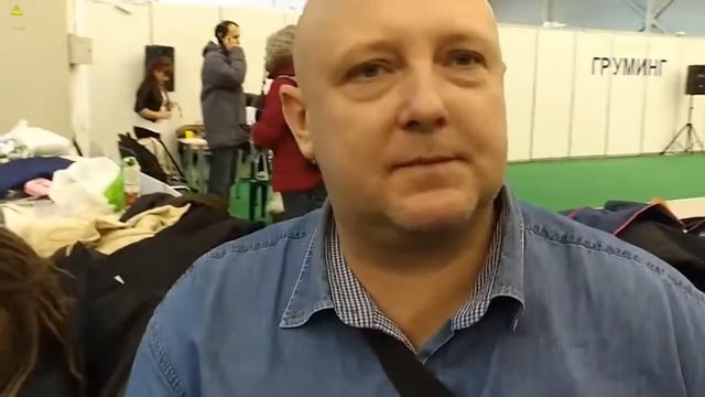 Королевский черный немецкий дог - собака для тех, кто хочет сделать мир красивее смотреть онлайн