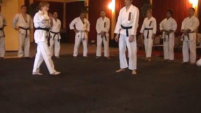 семинар/ джиу джитсу