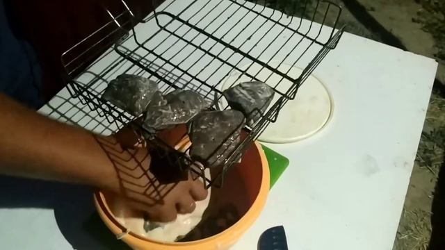 Кулинарное чудо на каждый день 