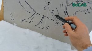 дробь 1 по глухарю. расстояние 50 - 80 метров.