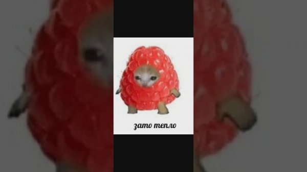 retire (final) Alvedon x Evangelion