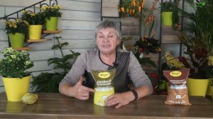 Двойной Суперфосфат Применение в Садоводстве ✔️ Советы От Garden zoo