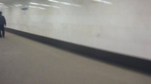 Лифт на станции метро Фонвизинская