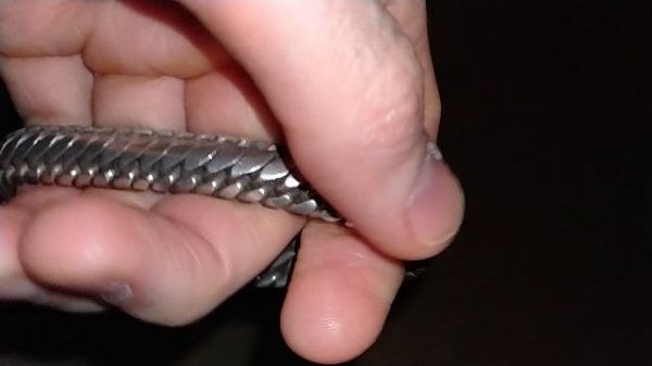 VID20230214015145.mp4