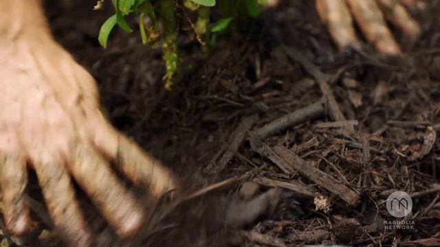 Road to Launch with Jamila Norman | Magnolia Network смотреть онлайн