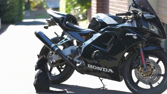Honda CBR250RR MC22 MC19 Sneaky Exhaust Video - ACBIKE CBR600rr And Tyga Fairings